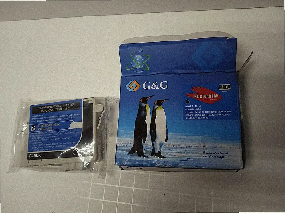 (2 Pack) G&G Remanufactured Ink Cartridge NE-RT0481BK for EPSON STYLUS PHOTO